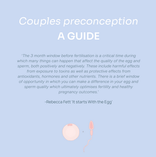 Preconception Guide for Couples PDF Ebook